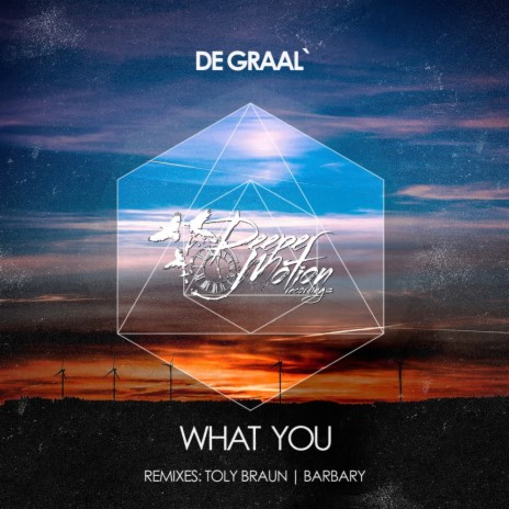 What You (Barbary Remix)