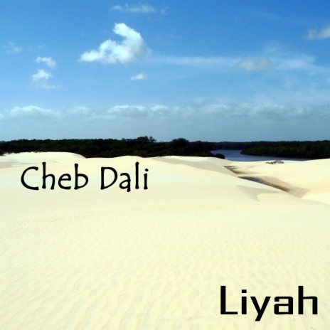 Liyah liyah | Boomplay Music