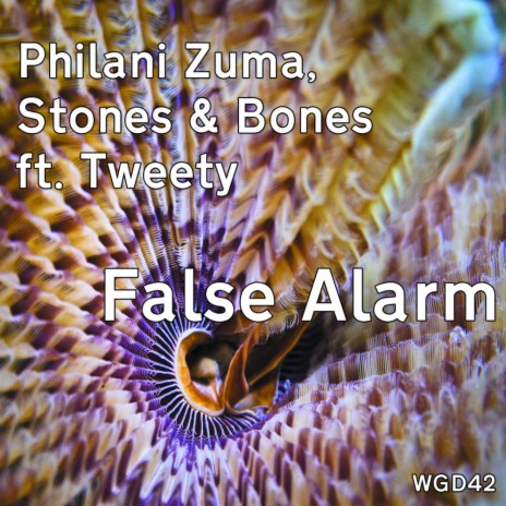 False Alarm (Weeping Guitar Mix) ft. Stones, Bones & Tweety