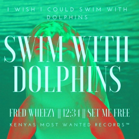Swim With Dolphins | Boomplay Music