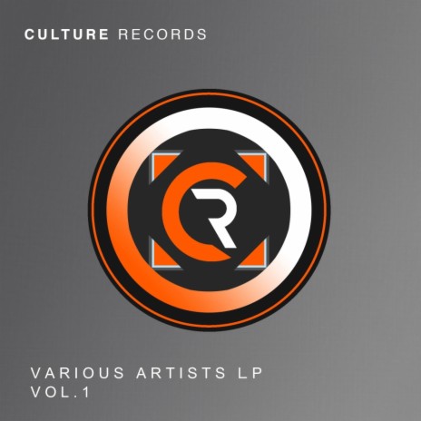 Culture Records LP Mix (Continuous DJ Mix)