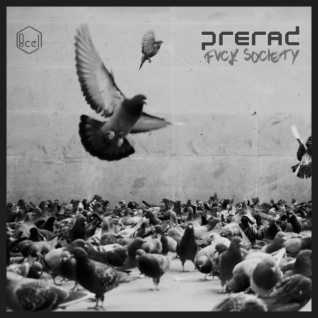 Fvck Society (Original Mix)