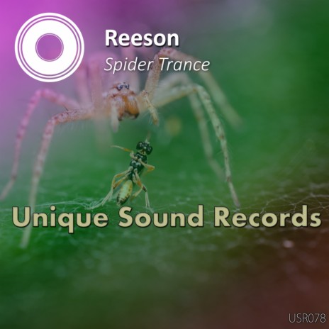 Spider Trance (Original Mix) | Boomplay Music