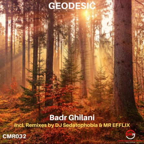 Geodesic (DJ Sedatophobia Remix)