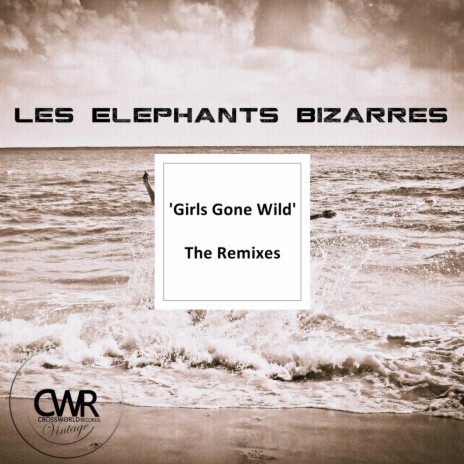 Girls Gone Wild (Raffaello Bonaga Remix 2) | Boomplay Music