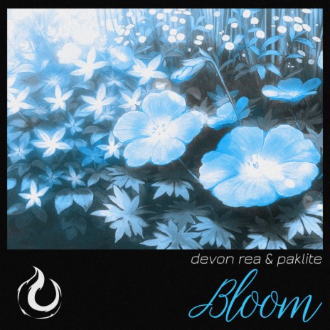 Bloom ft. Paklite & Funcc.