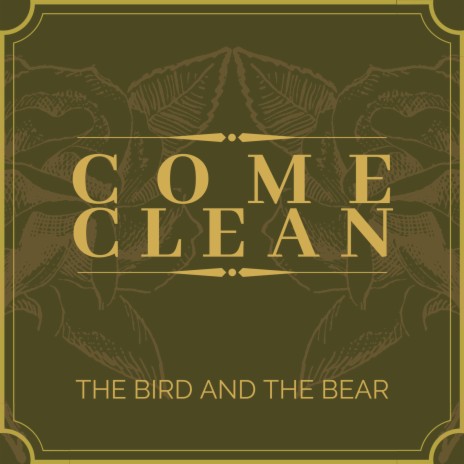 Come Clean | Boomplay Music