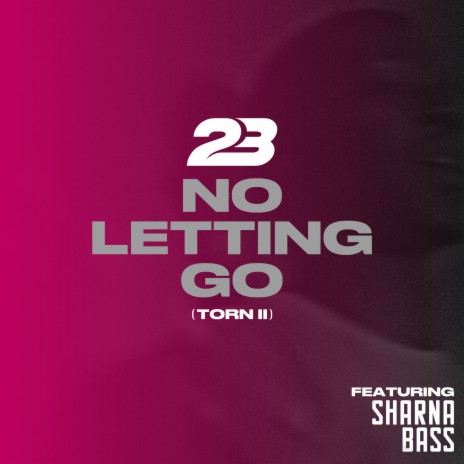 No Letting Go (Torn 2) ft. Sharna Bass | Boomplay Music