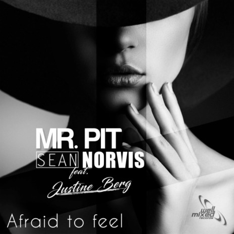 Afraid To Feel (Radio Edit) ft. Sean Norvis & Justine Berg | Boomplay Music