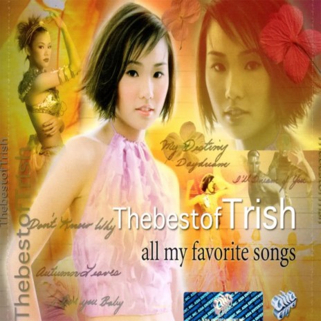 I've never thought ft. Trish Thùy Trang | Boomplay Music