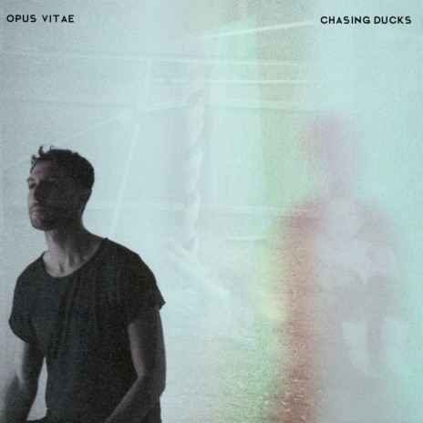 Chasing Ducks | Boomplay Music