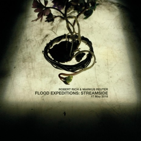 Flood Expeditions: Streamside, Pt. 2 ft. Markus Reuter | Boomplay Music