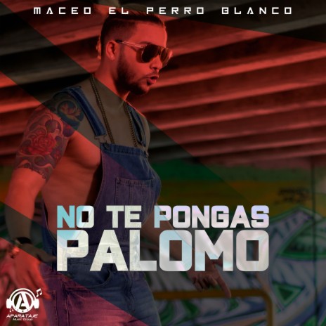 No Te Pongas Palomo | Boomplay Music