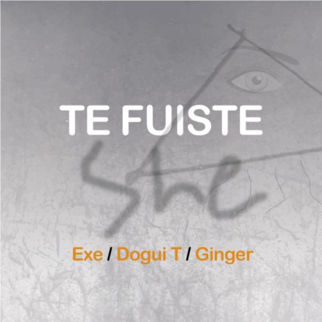 Te Fuiste ft. Ginger & Dogui T | Boomplay Music