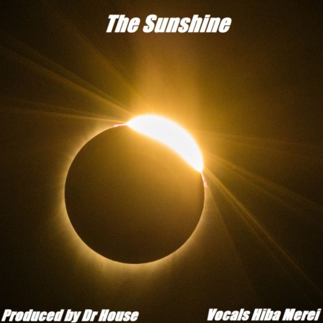 The Sunshine (Original Mix) | Boomplay Music