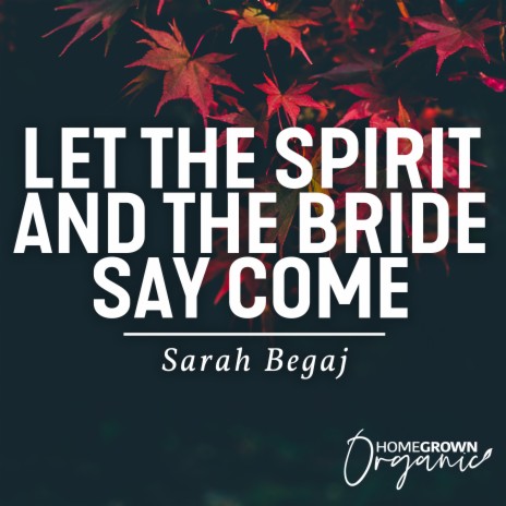 Let The Spirit And The Bride Say Come