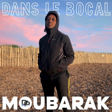 Dans le bocal | Boomplay Music