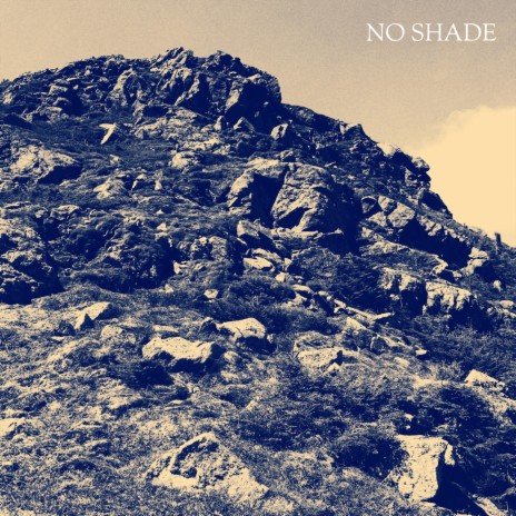 No Shade | Boomplay Music