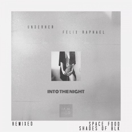 Into the Night (Shades of Blk Remix) ft. Felix Raphael