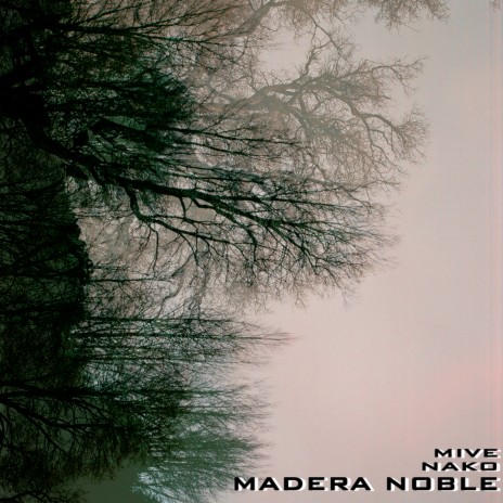 Madera Noble ft. Nako | Boomplay Music