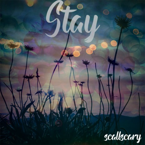 Stay | Boomplay Music