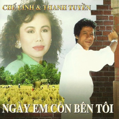 Hoa vẫn nở trên đường quê hương | Boomplay Music