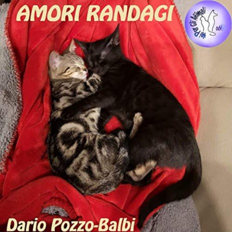 Amori Randagi | Boomplay Music