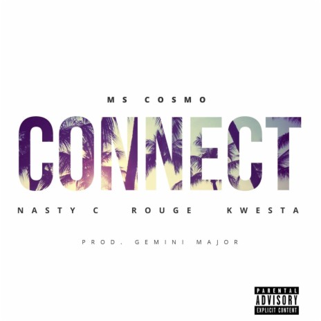 Connect (feat. Nasty C, Rouge & Kwesta) | Boomplay Music