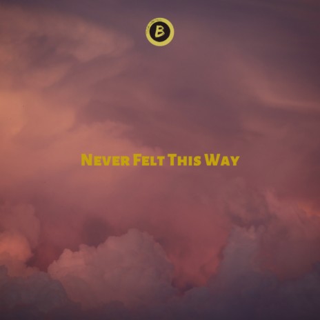 Never Felt This Way | Boomplay Music