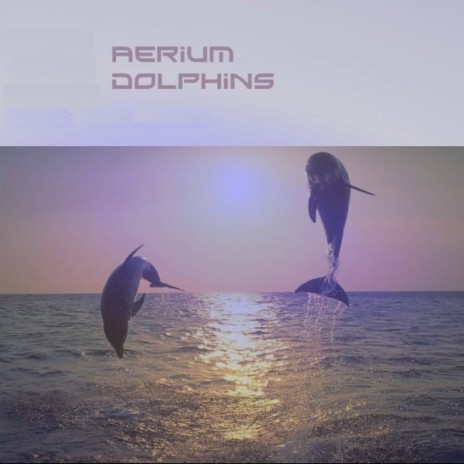 Dolphins (Original Mix)