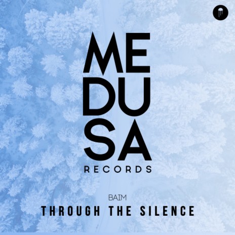 Through The Silence (Original Mix) | Boomplay Music