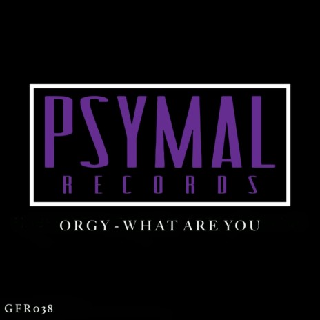 What Are You (Original Mix)