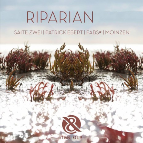 Riparian (Patrick Ebert Remix) | Boomplay Music