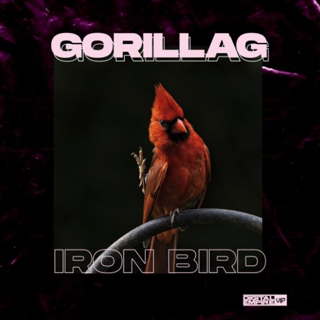Iron Bird (Original Mix) | Boomplay Music