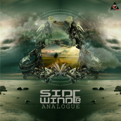 Analogue (Original Mix) | Boomplay Music