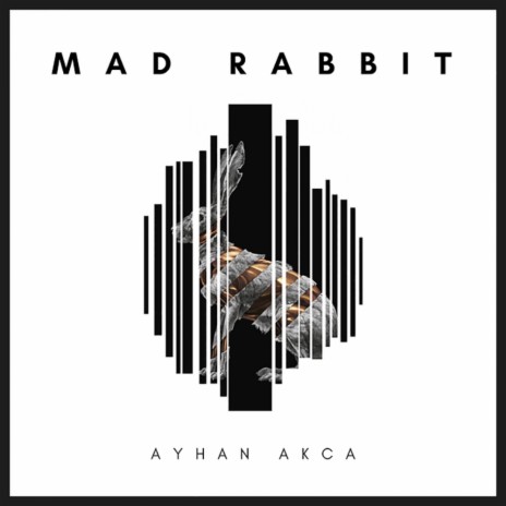 Mad Rabbit (Original Mix) | Boomplay Music