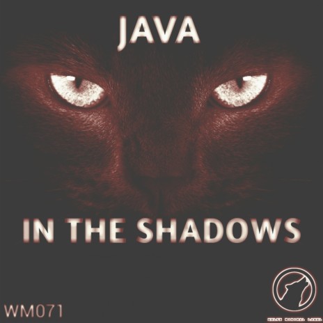 In The Shadows (Original Mix)