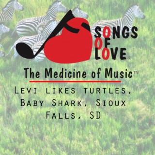 Levi Likes Turtles, Baby Shark, Sioux Falls, Sd