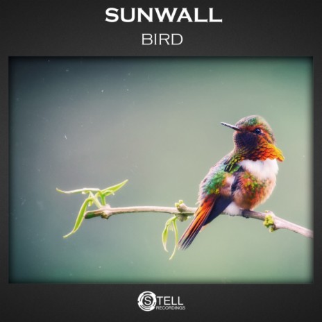 Bird (Original Mix) | Boomplay Music