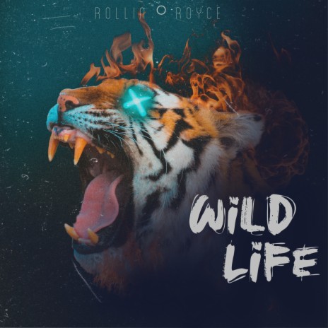 Wildlife | Boomplay Music