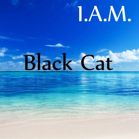 Black Cat (Original Mix) | Boomplay Music