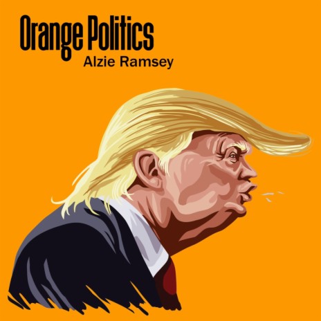 Orange Politics (Original Mix)