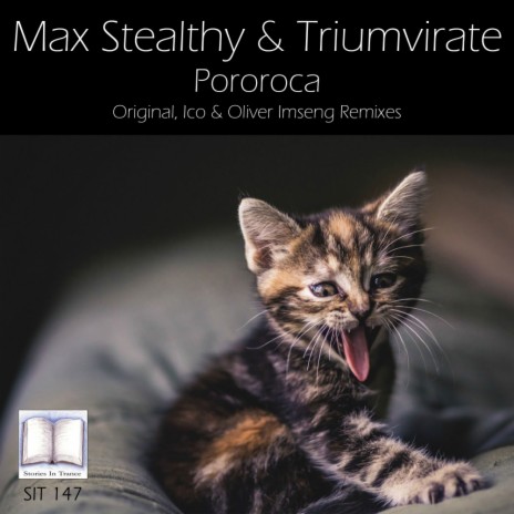 Pororoca (Original Mix) ft. Triumvirate