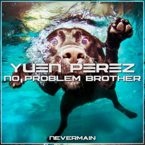 No Problem Brother (Original Mix) | Boomplay Music