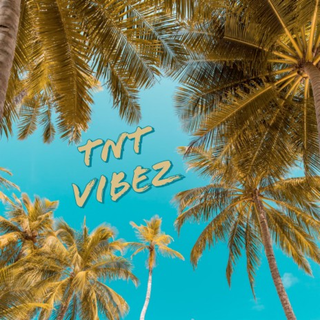 Vibez ft. Certibeats | Boomplay Music