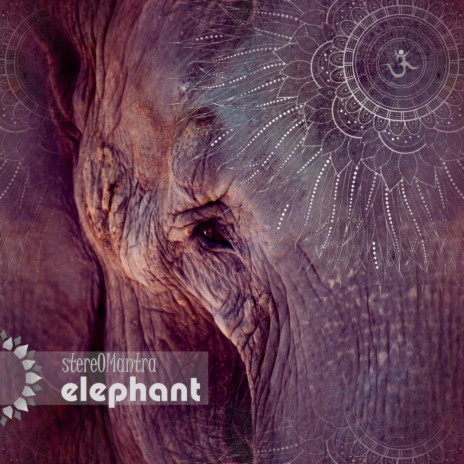 The Elephant (Original Mix)