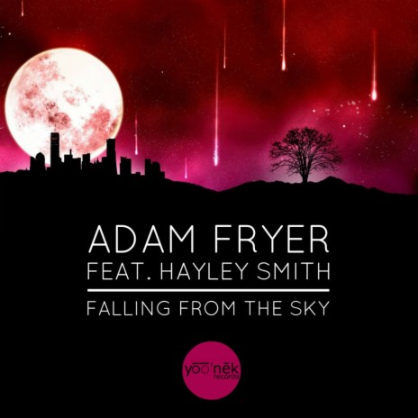 Falling From The Sky (Original Mix) ft. Hayley Smith | Boomplay Music