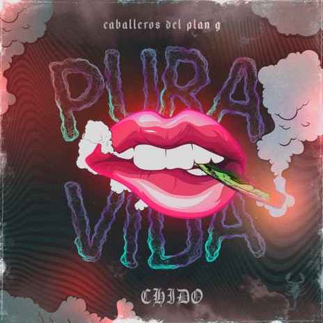 Pura Vida: Chido ft. Efekto Alakrán & Dj Cat Scratcho | Boomplay Music