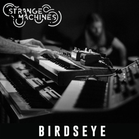 Birdseye | Boomplay Music