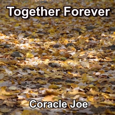 Together Forever | Boomplay Music